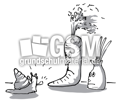 Karotte und Zwiebel 12.jpg